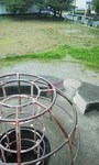 はまご9.jpg