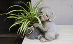 犬と植木鉢.jpg