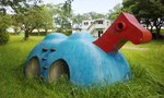らくだ1.jpg